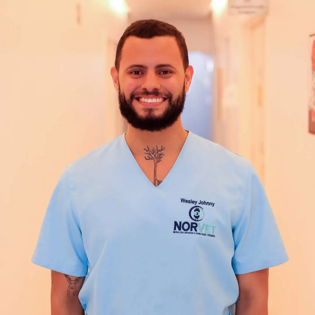 Wesley Johnny - Auxiliar